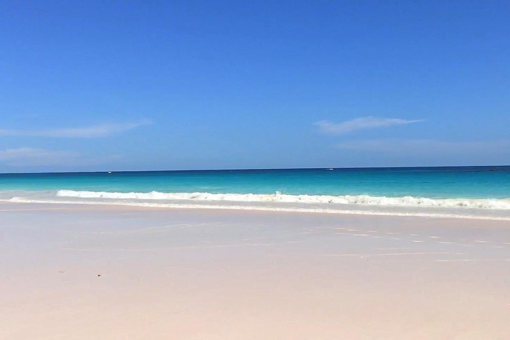 Pink Sand beach